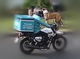 Counted crossing at 16:59